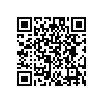 DW-06-09-T-S-370 QRCode