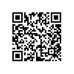 DW-06-10-T-S-380 QRCode