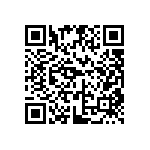 DW-06-13-G-S-917 QRCode