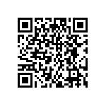 DW-06-17-G-S-295 QRCode