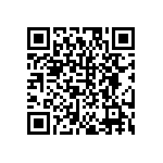 DW-09-11-T-S-300 QRCode