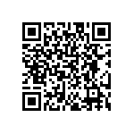 DW-10-09-T-S-300 QRCode