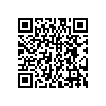 DW-11-17-S-D-213 QRCode