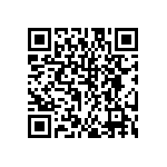 DW-11-19-G-S-938 QRCode