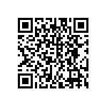 DW-12-13-G-D-300 QRCode