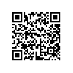 DW-12-13-G-S-930 QRCode