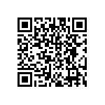 DW-12-17-T-S-300 QRCode