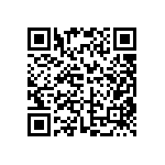 DW-13-09-L-D-346 QRCode