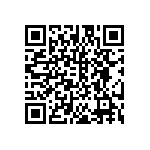 DW-13-13-T-Q-200 QRCode