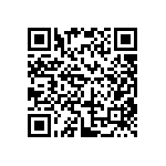 DW-13-17-T-S-236 QRCode