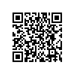 DW-17-09-T-S-300 QRCode