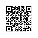 DW-17-13-T-S-1000 QRCode