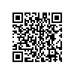 DW-32-11-S-D-453 QRCode