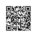 DW-49-13-F-S-965 QRCode