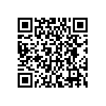 DWM-01-01-S-S-250 QRCode