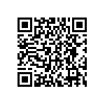 DWM-04-01-G-D-250 QRCode