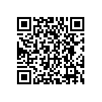 DWM-09-01-T-D-250 QRCode