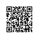 DWM-12-01-T-D-330 QRCode