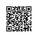 DWM-38-58-L-D-413 QRCode