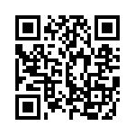 E121S1D3AV3GE QRCode