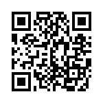 E21311300000G QRCode