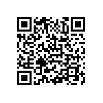 E22-6-16-R-3C95 QRCode