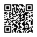 ERJ-6GEYJ304V QRCode