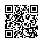 ERJ-T08J304V QRCode