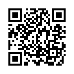 ERZ-E10E391 QRCode