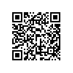 ESQT-133-03-S-D-309 QRCode