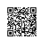 ESQT-138-03-S-S-309 QRCode