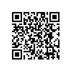 EW-01-09-T-S-300 QRCode