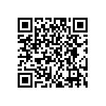 EW-04-09-G-S-385 QRCode