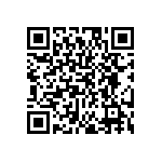 EW-09-09-L-S-300 QRCode