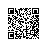 EW-09-09-T-D-300 QRCode