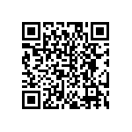 EW-09-11-T-S-300 QRCode