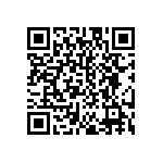 EW-10-12-T-S-384 QRCode