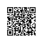 EW-17-09-S-D-300 QRCode