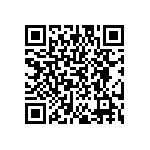 EW-17-09-T-S-300 QRCode