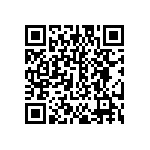 EW-17-13-T-S-813 QRCode