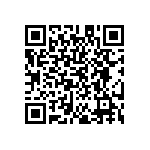 EW-30-09-T-S-300 QRCode