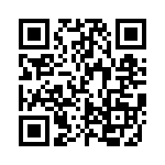 FCE17E09PE4D0 QRCode