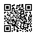 FT313HL-T QRCode