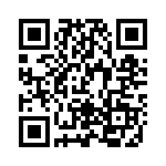 FV2-4 QRCode