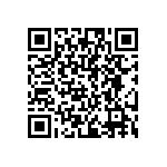 FVT02506E5K000JE QRCode