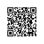 FW-04-04-F-D-250-065 QRCode