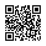 H4100RBCA QRCode