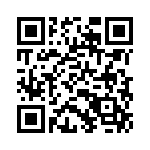 H413705A0000G QRCode