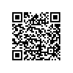 ICE3A3065PBKSA1 QRCode