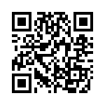 ICE3B0565 QRCode